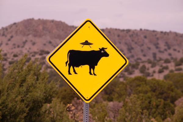 photo by bruce warrington of a yellow road warning sign with silhouettes of a cow and a UFO against a hilly landscape