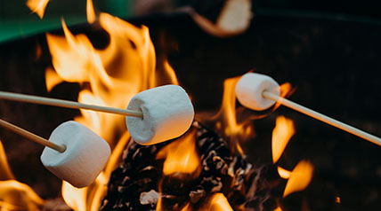 photo of marshmallow, being toasted in a camp fire